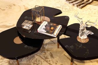 奢华别墅家具品牌水多视频直播样板间家具轻奢后现代客厅金丝黑檀黑亮组合几
